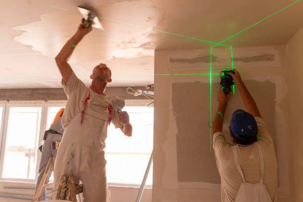 Best Ceiling Drywall Installation  in Rib Mountain, WI